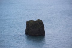 IMG_3400