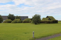 IMG_3431