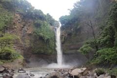 fotky-Indonésie-2013-695-bot.-zahrada-Kebun-Raya-Purwodadi-Coban-Baung