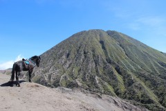fotky-Indonésie-2013-728-Gn.-Bromo