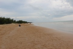 fotky-Indonésie-2013-766-Pulau-Madura-Lombang