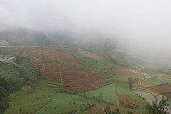 fotky-Indonésie-2013-947-Dieng-P.-Gua-Jimat