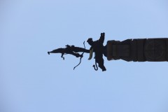 IMG_0737