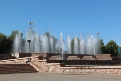 IMG_0742