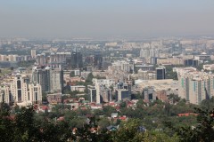 IMG_0746