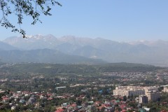 IMG_0750