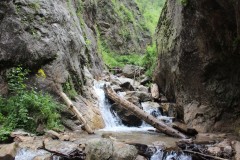 IMG_0801