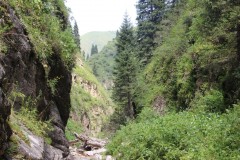 IMG_0812