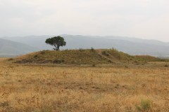 IMG_0820