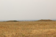 IMG_0824