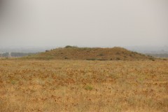 IMG_0825