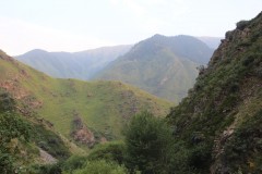 IMG_0844