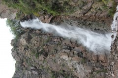 IMG_0846