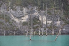IMG_0855