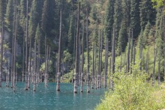 IMG_0856