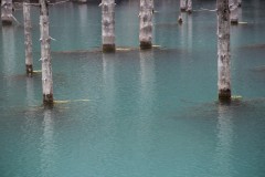 IMG_0859