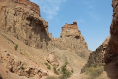 IMG_0871