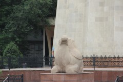 IMG_0896