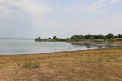 IMG_0899