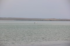 IMG_0903
