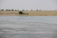 IMG_0904