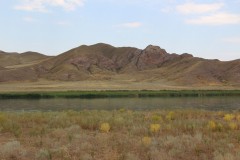 IMG_0907