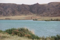 IMG_0939