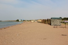 IMG_0950