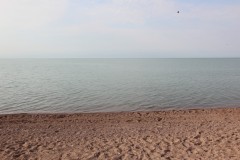 IMG_0951