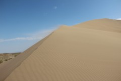 IMG_0961