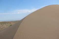 IMG_0962