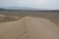 IMG_0967