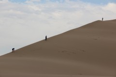 IMG_0975