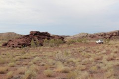 IMG_1001