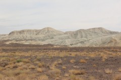 IMG_1008