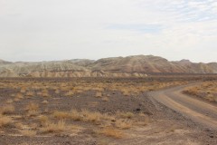 IMG_1009