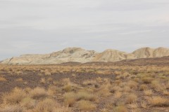 IMG_1013