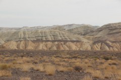 IMG_1015