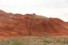 IMG_1019