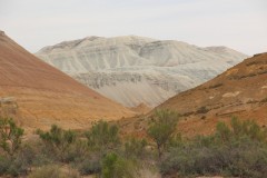IMG_1021