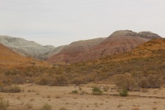 IMG_1022