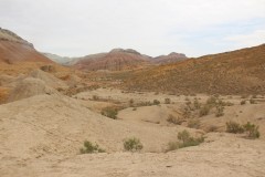 IMG_1024
