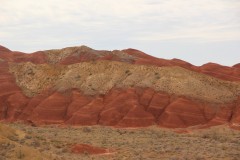 IMG_1027