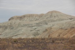 IMG_1029