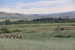 IMG_1047