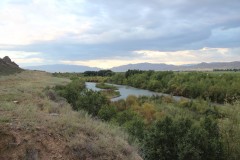 IMG_1052