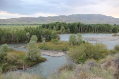 IMG_1053
