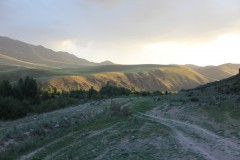 IMG_1056