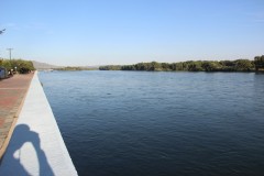 IMG_1084