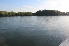 IMG_1085